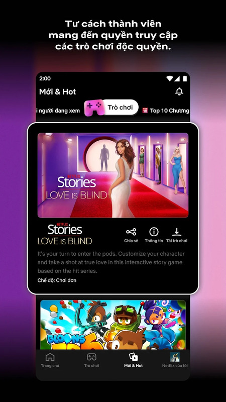 Netflix 3