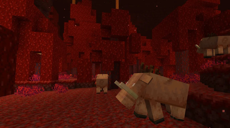 Minecraft 1.16 4
