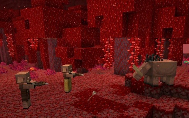 Minecraft 1.16 5
