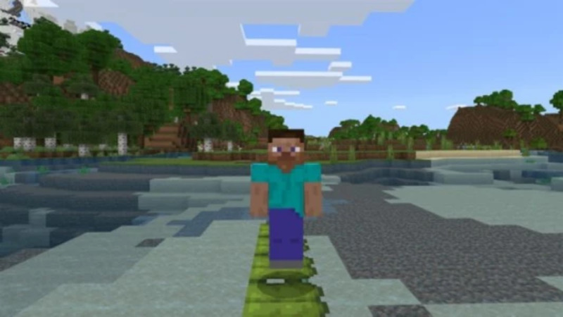 Minecraft 1.17 2