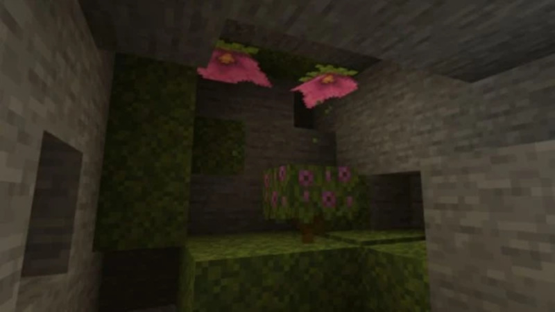 Minecraft 1.17 5