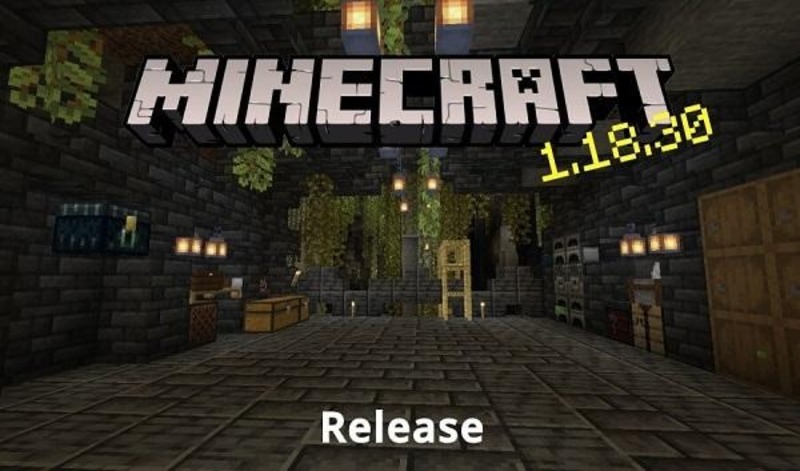 Minecraft 1.18 4