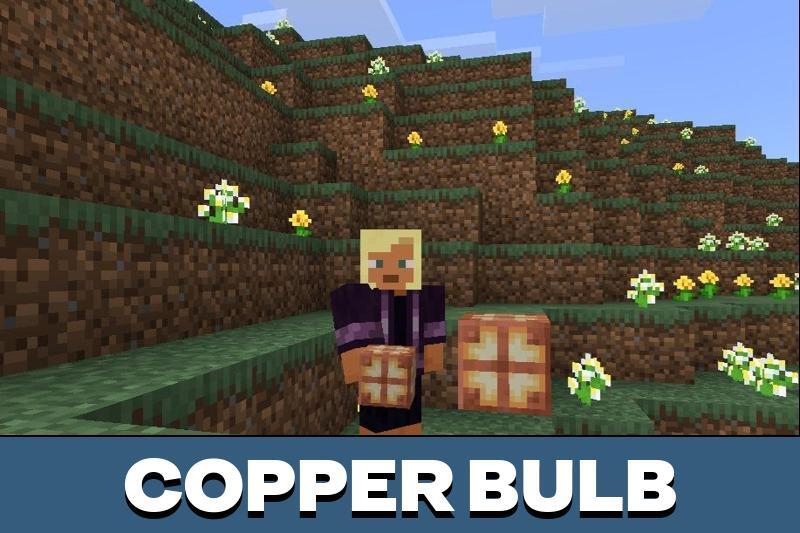Minecraft 1.20.80 2