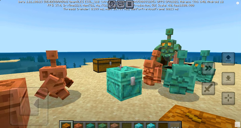 Minecraft 1.21.100 4