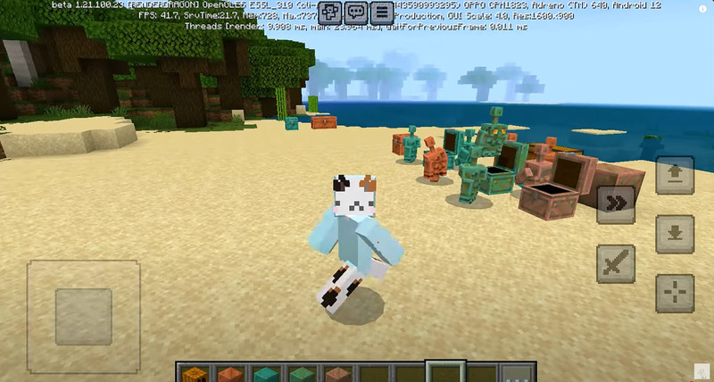 Minecraft 1.21.100 2
