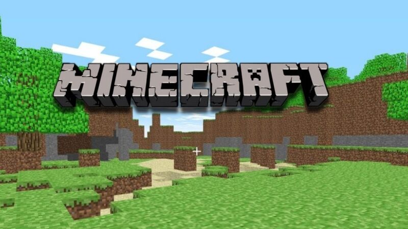 Minecraft 1.21.51 1