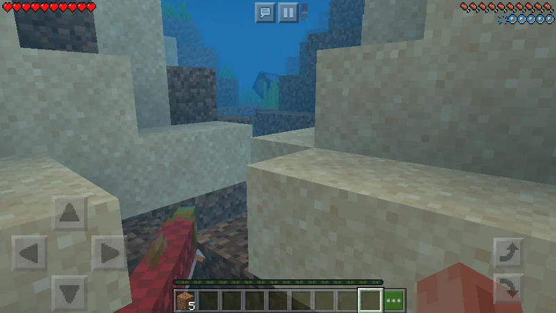 Minecraft 1.21.60 5