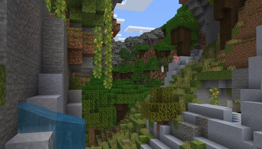 Minecraft 1.21.60 4