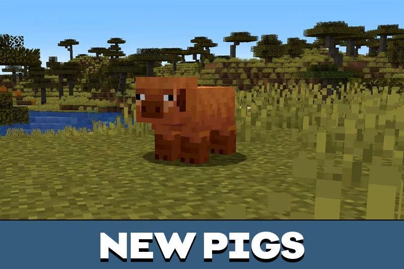 Minecraft 1.21.70 4