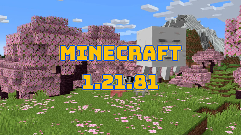 Minecraft 1.21.81 1