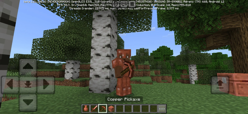 Minecraft 1.21.110.24 2