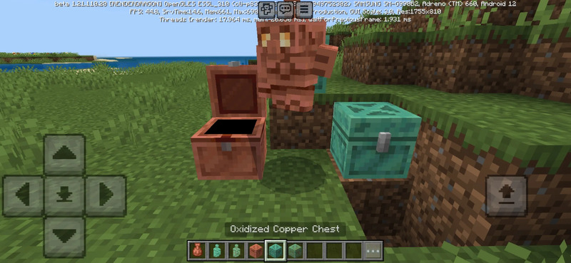Minecraft 1.21.110.24 4