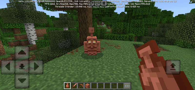 Minecraft 1.21.110.24 5