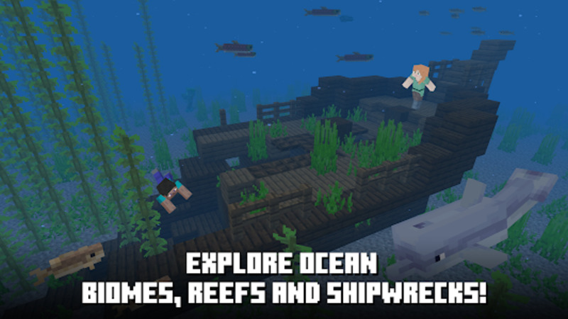 Minecraft 1.21.111.1 4