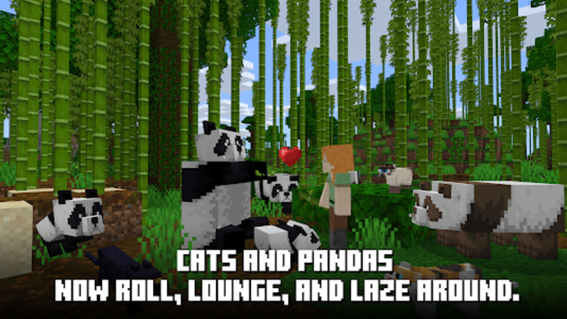 Minecraft 1.21.111.1 1
