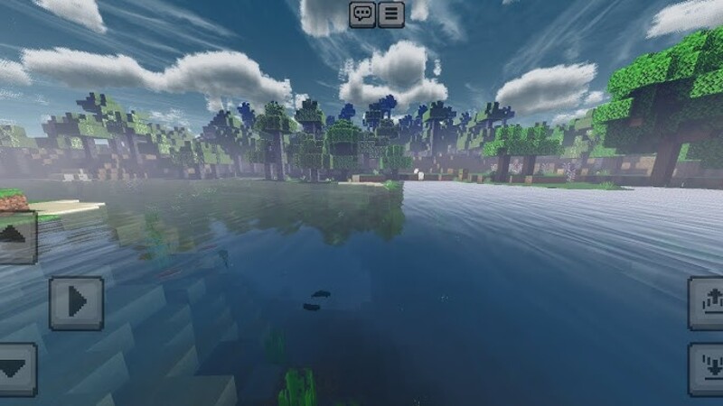 Minecraft 1.21.113.1 1