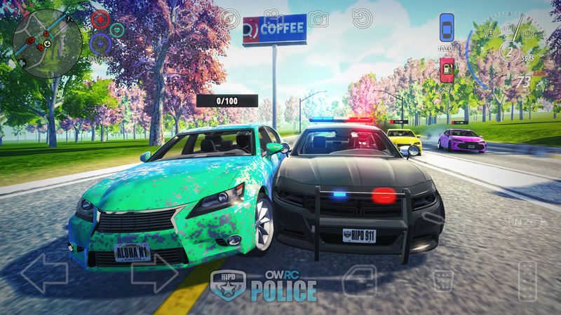 OWRC Police 3