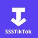 ssstiktok-apk